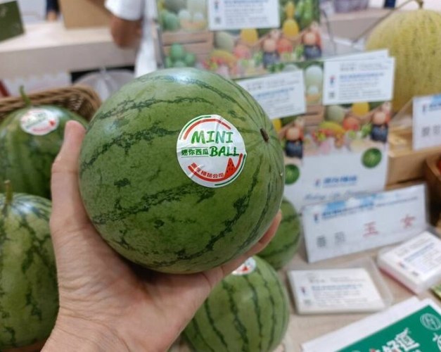 西瓜壞處