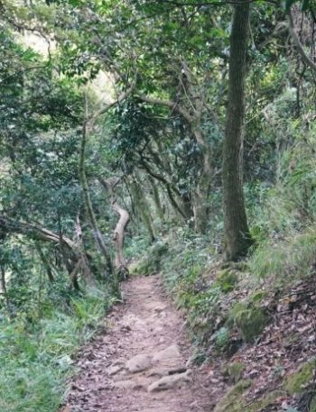 鳶尾山步道 鳶尾山步道