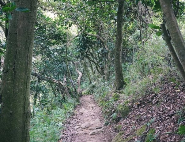鳶尾山步道 鳶尾山步道