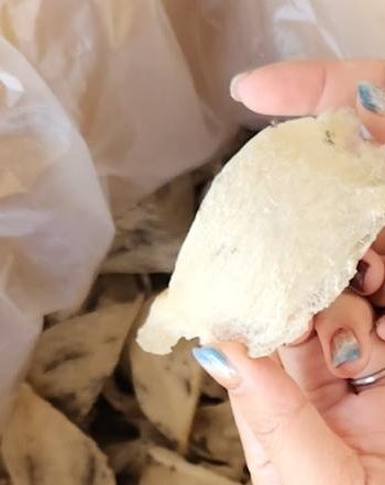 燕窩的功效與禁忌 燕窩的功效與禁忌