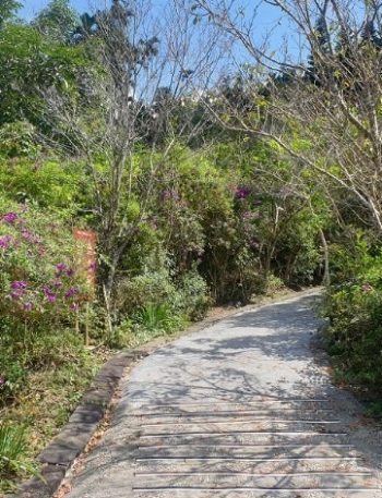 台南登山步道