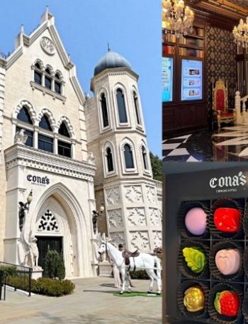 妮娜巧克力城堡